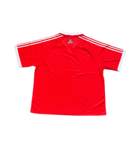 Switzerland World Cup Kit