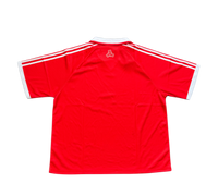 Turkey World Cup Kit