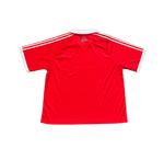 Austria World Cup Kit