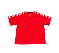 Austria World Cup Kit